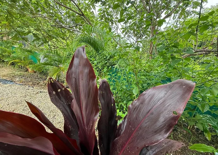 Appartement Quiet, Affordable Casita Close To Surf & Nature - 15 Minutes Drive To Samara